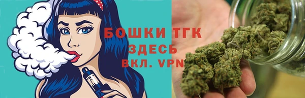 ГАЛЛЮЦИНОГЕННЫЕ ГРИБЫ Баксан