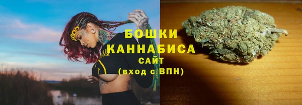 ГАЛЛЮЦИНОГЕННЫЕ ГРИБЫ Баксан