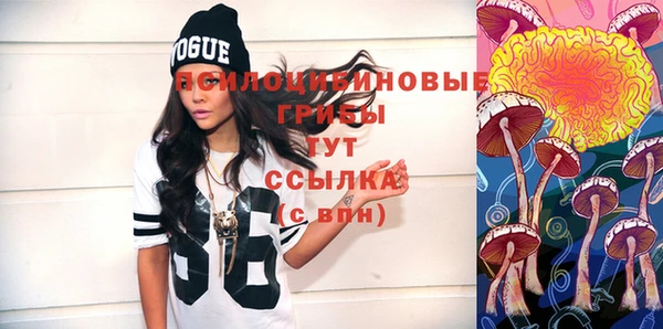 ГАЛЛЮЦИНОГЕННЫЕ ГРИБЫ Баксан