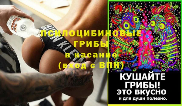 ГАЛЛЮЦИНОГЕННЫЕ ГРИБЫ Баксан