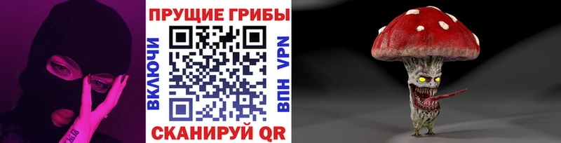 купить закладку  ОМГ ОМГ tor  Псилоцибиновые грибы Magic Shrooms  маркетплейс официальный сайт  Губаха 